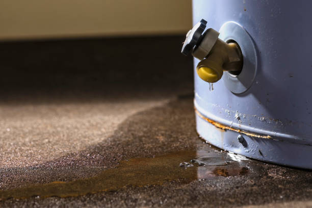Best Local water damage restoration  in White Castle, LA