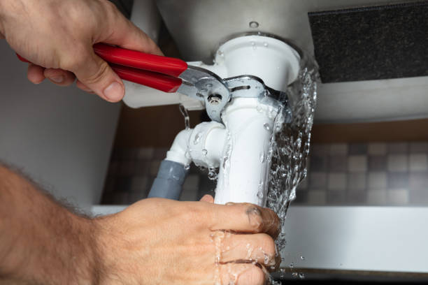 Best Water damage restoration mold remediation  in White Castle, LA