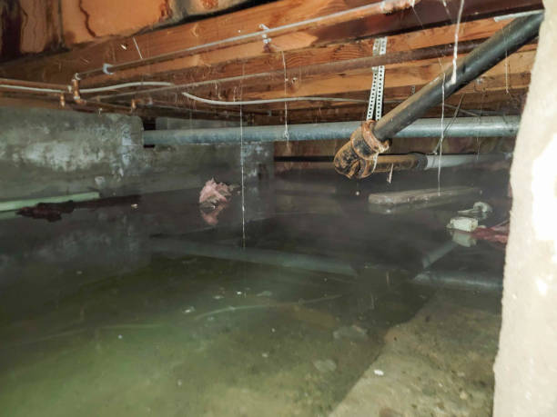 Best Flood damage cleanup  in White Castle, LA