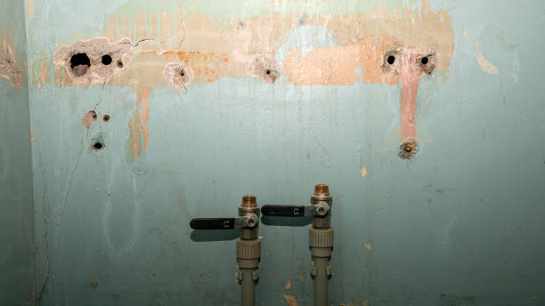 Best 24-hour water damage restoration  in White Castle, LA