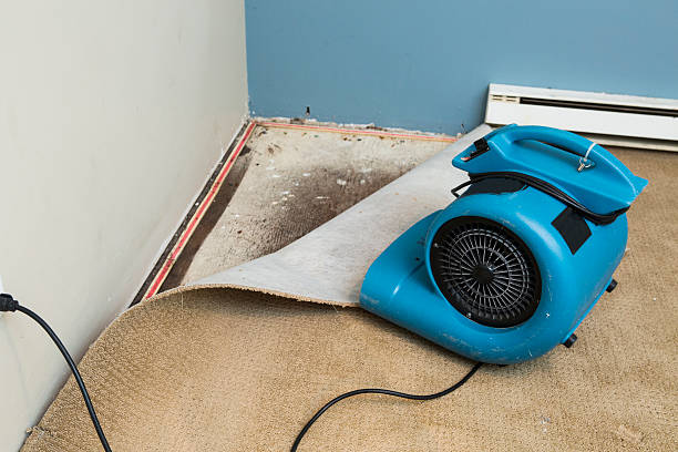 Best 24/7 water damage repair  in White Castle, LA